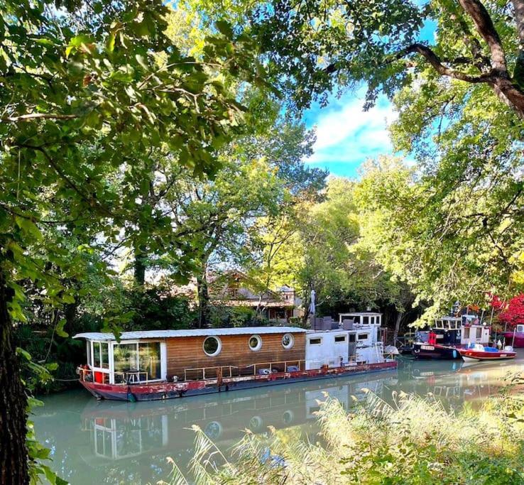 Insolite Peniche Amazonie Canal Du Midi Gardouch 외부 사진