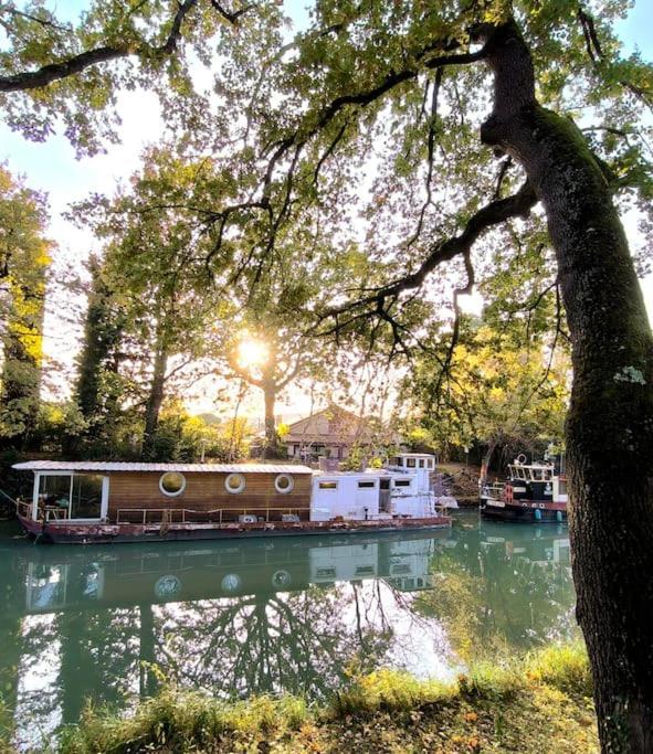 Insolite Peniche Amazonie Canal Du Midi Gardouch 외부 사진